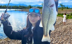 青青草vip破解版免费